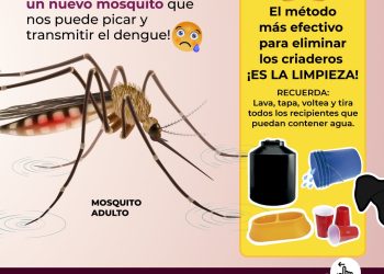 Sonora ocupa el tercer lugar con menos casos de dengue en el país: SSP