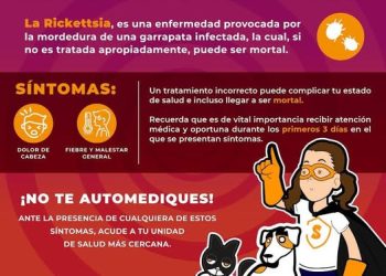 Trabaja Gobierno del Estado con brigadas para prevenir la fiebre manchada: Salud Sonora