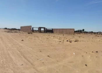 Localizan dos cuerpos en predio baldío en la colonia Topahue de San Luis Río Colorado