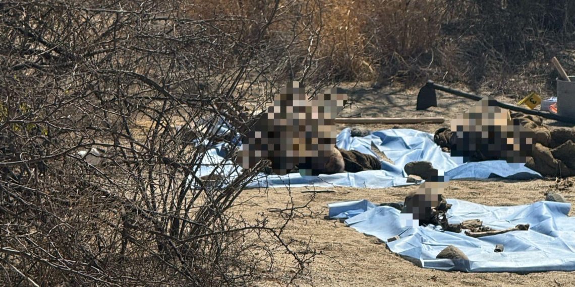 Descubren otra fosa clandestina con varios cuerpos en Hermosillo