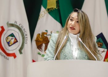 Diputada Claudia Bours propone la pérdida de la patria potestad en casos de violencia vicaria
