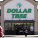 Dollar Tree venderá Family Dollar por 1,000 mdd