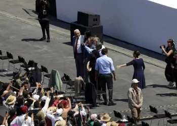 Dirigentes partidistas estaban distraídos, dice Sheinbaum Pardo