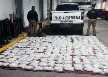 Millonaria incautación en Hermosillo: Hallan 138 kilos de crystal en empresa de paquetería