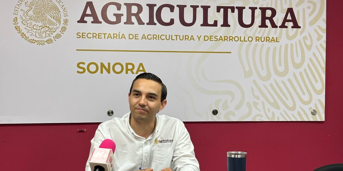 Informa Sader Sonora reapertura de exportación de ganado en la cuarentenaria de Nogales