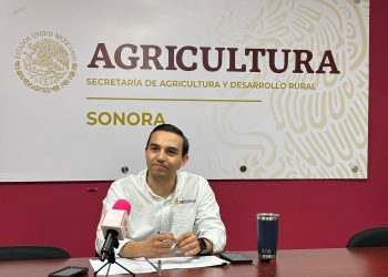Informa Sader Sonora reapertura de exportación de ganado en la cuarentenaria de Nogales