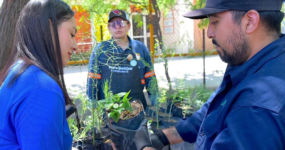 Donará Vivero Municipal plantas nativas este sábado 15
