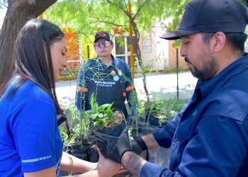 Donará Vivero Municipal plantas nativas este sábado 15