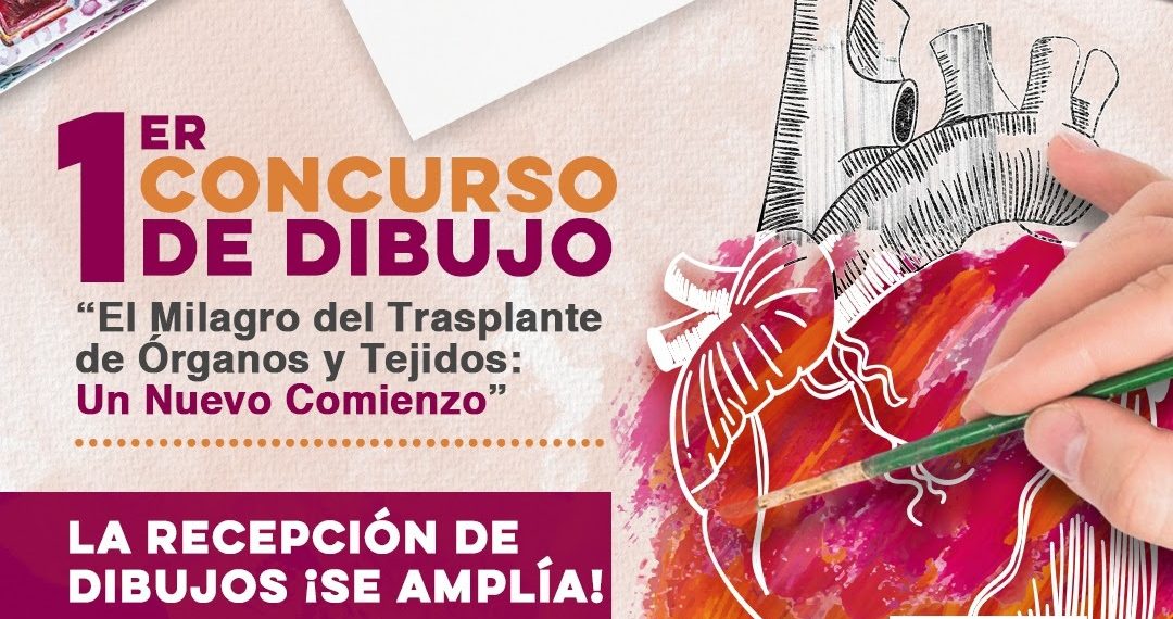 Convoca Gobierno de Sonora a primer concurso de dibujo del Centro Estatal de Trasplantes