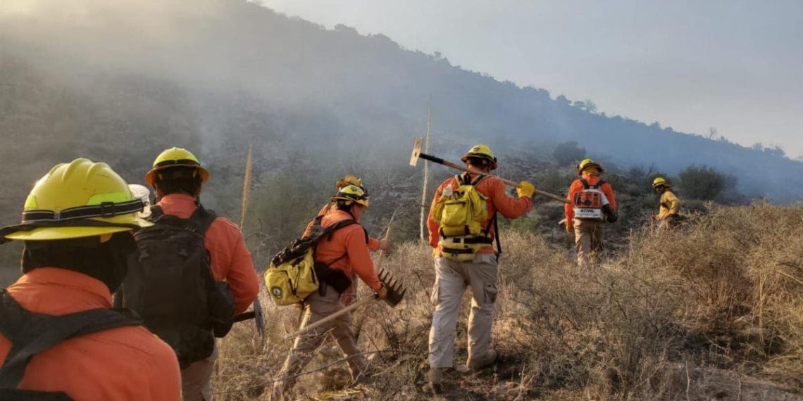 Trabajo preventivo del Gobierno de Sonora disminuye incendios forestales en el estado
