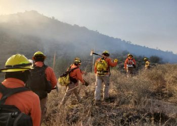 Trabajo preventivo del Gobierno de Sonora disminuye incendios forestales en el estado