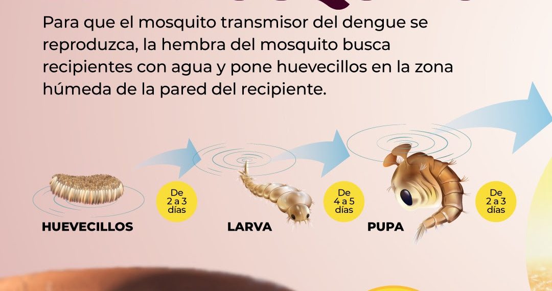 Gobierno de Sonora refuerza acciones para prevenir enfermedades