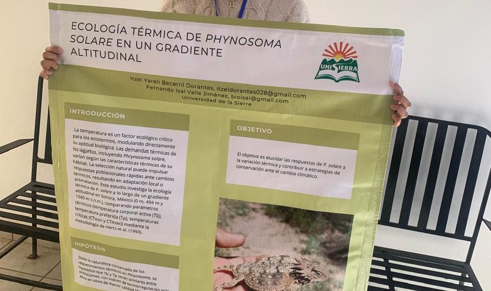 Participará Universidad de la Sierra en investigación internacional para conservar especie de lagarto