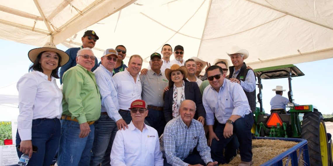 Gobierno de Sonora trabajará con productores para definir estrategias de cultivos