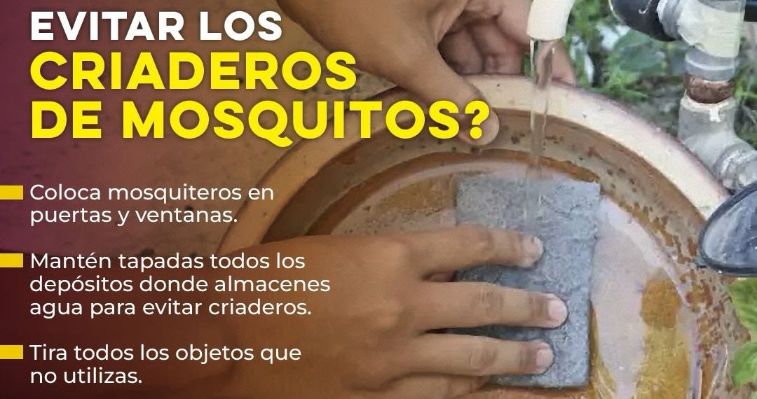 Gobierno de Sonora anticipa acciones contra el dengue para disminuir casos y continuar sin defunciones