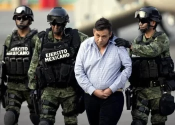 Se declaran ‘Z40’ y ‘Z42’ no culpables en EU