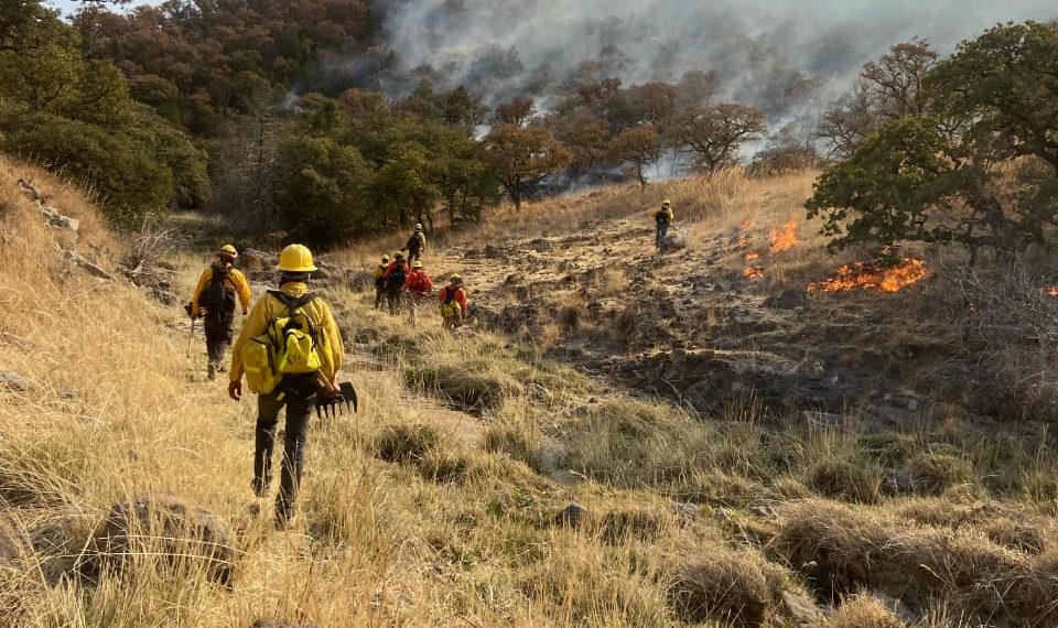 Brigada Estatal de Manejo de Fuego junto a autoridades e los 3 niveles de gobierno, combate incendio forestal