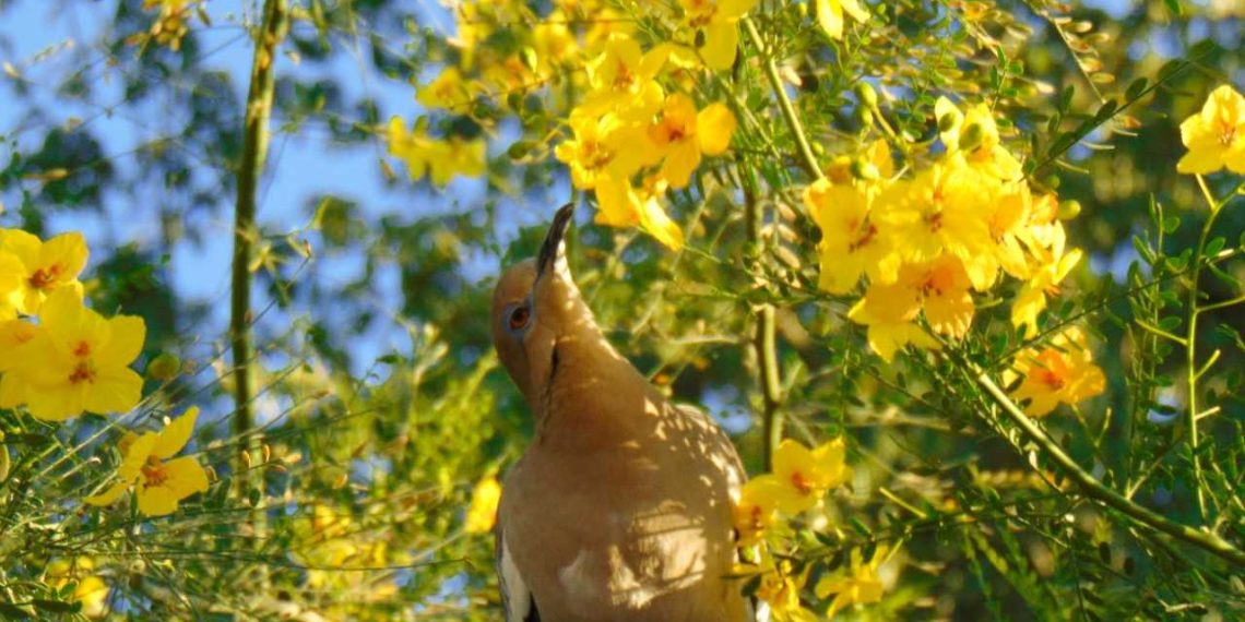 Cierra con éxito Concurso de Fotografía “El Sol del Desierto”