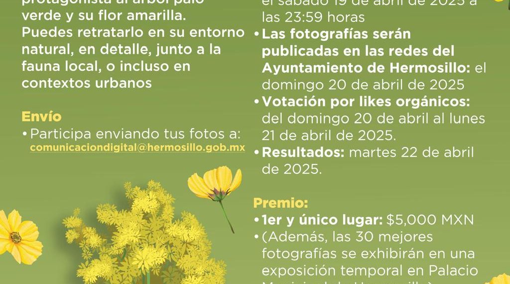 Invita Ayuntamiento de Hermosillo a participar con la mejor fotografía del árbol de Palo Verde