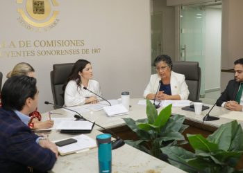 Comisión de Salud aprueba iniciativas para la atención psicológica, prevención del suicidio y salud mental