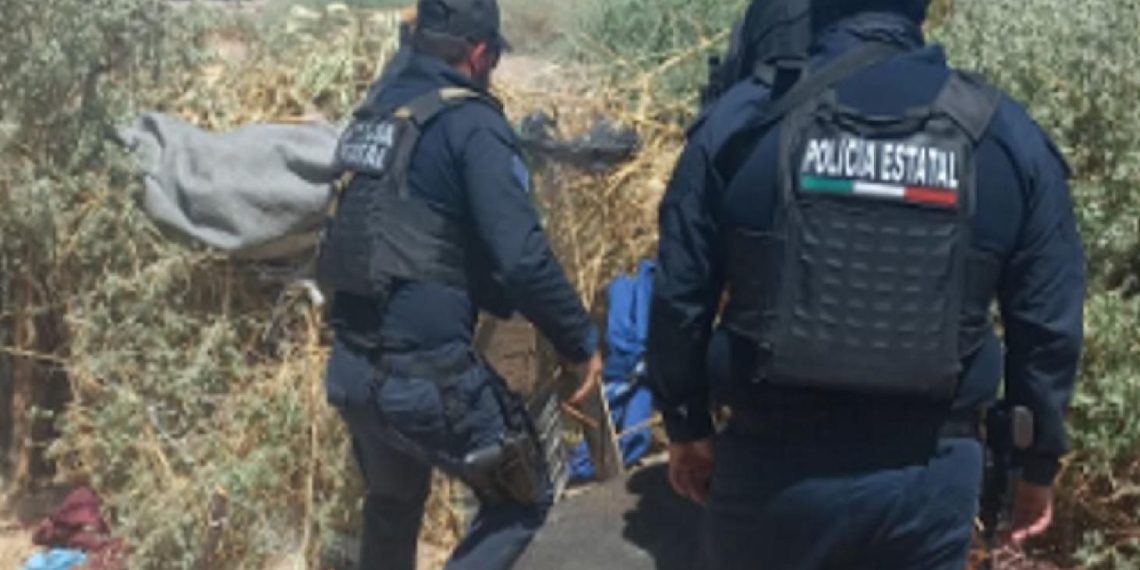 Realiza Gobierno de Sonora acciones contra la delincuencia