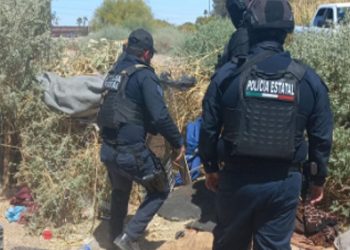 Realiza Gobierno de Sonora acciones contra la delincuencia