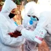 Confirma Ssa primer caso humano de influenza aviar A (H5N1)