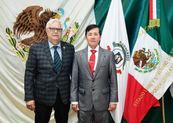 Proponen establecer como obligatorio el uso de seguro de responsabilidad civil por daños a terceros.