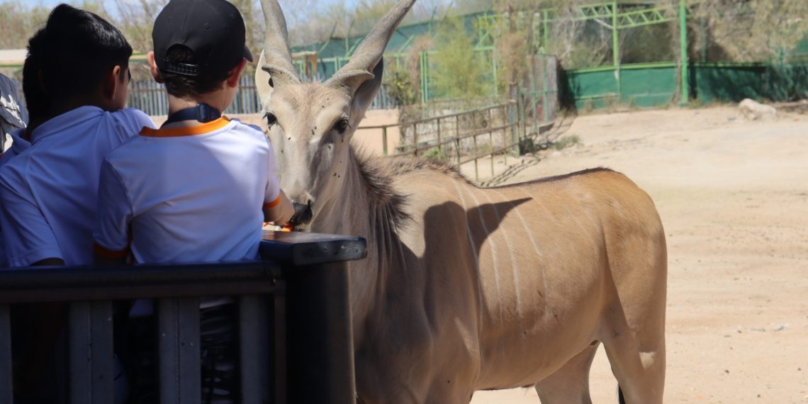 Ofrece Gobierno de Sonora áreas recreativas para disfrutar de la Semana Santa Sonora 2025