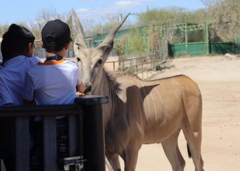 Ofrece Gobierno de Sonora áreas recreativas para disfrutar de la Semana Santa Sonora 2025