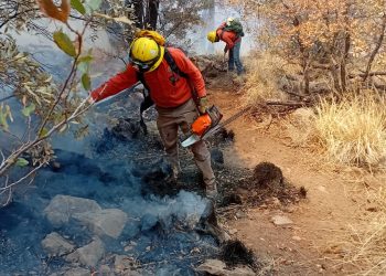Combaten incendio forestal en Bavispe