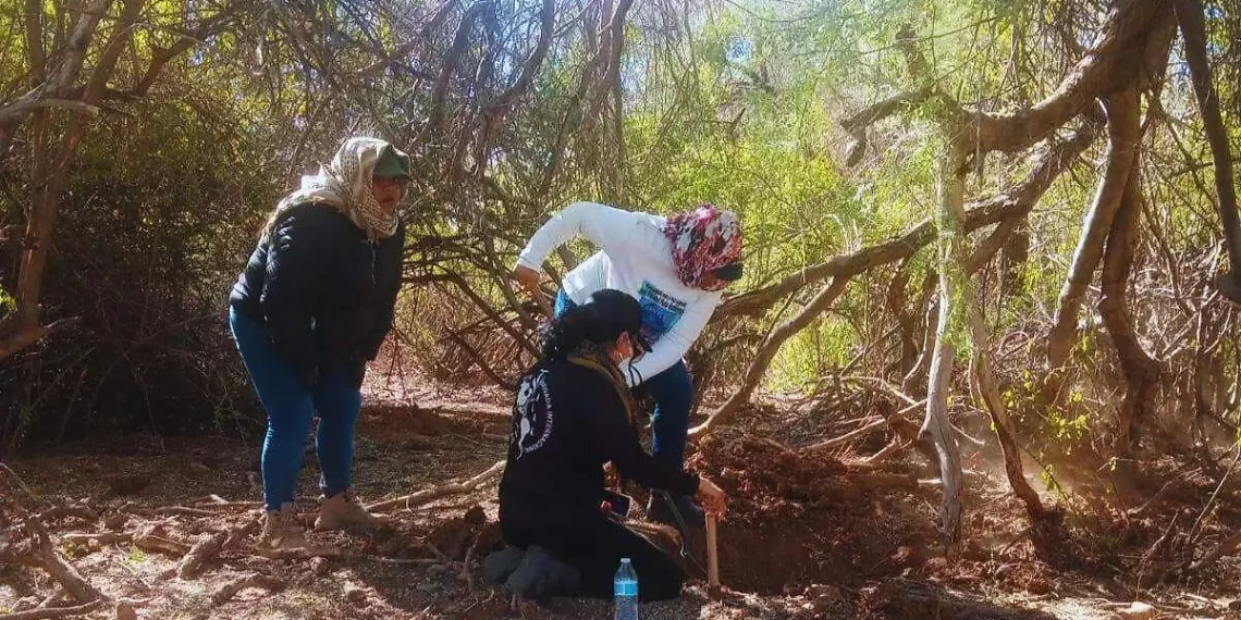 Madres Buscadoras de Sonora encuentran fosa clandestina en San Pedro El Saucito