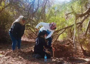Madres Buscadoras de Sonora encuentran fosa clandestina en San Pedro El Saucito