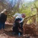 Madres Buscadoras de Sonora encuentran fosa clandestina en San Pedro El Saucito