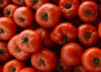 Estados Unidos impondrá aranceles al jitomate de México
