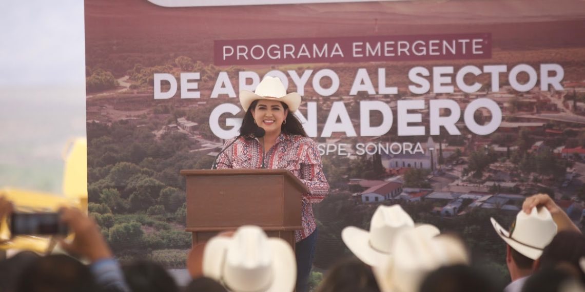 Lleva Gobierno de Sonora maquinaria y apoyos a la sierra alta