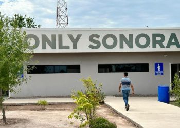 Facilita Gobierno de Sonora ingreso temporal de vehículos con el programa Only Sonora