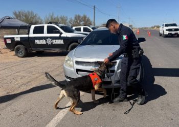 Mantendrá Gobierno de Sonora Operativos por unas Vacaciones Seguras 2025