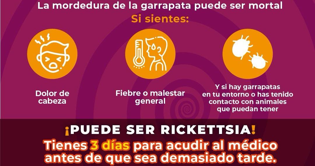 Gobierno de Sonora llama a prevenir la rickettsiosis ante inicio de temporada de calor