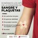 Gobierno de Sonora informa: Lo que debes saber sobre la donación de sangre