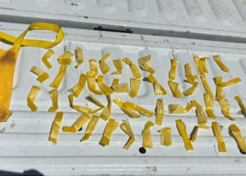 Gobierno de Sonora localiza narcótico en Cerro de la Campana gracias a labores de inteligencia: SSP