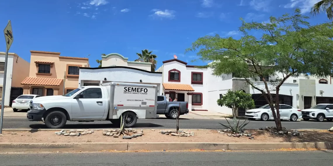 Hallan cuerpo en estado de descomposición