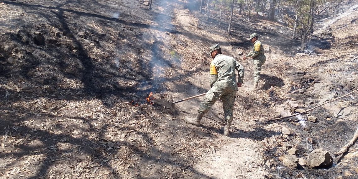 Ejército Mexicano aplica el Plan DN-III-E en la sofocación de un incendio en el Municipio de Yécora, Son.