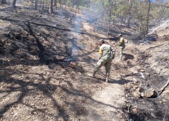 Ejército Mexicano aplica el Plan DN-III-E en la sofocación de un incendio en el Municipio de Yécora, Son.