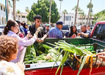Estudiantes de Agronomía cosechan y venden hortalizas