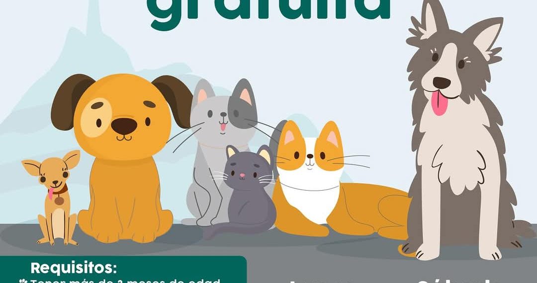 Continúa Ayuntamiento de Hermosillo con esterilizaciones gratuitas de perros y gatos