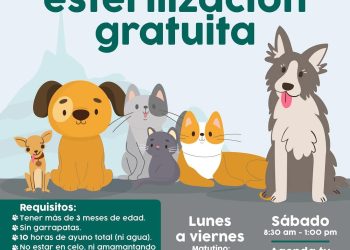 Continúa Ayuntamiento de Hermosillo con esterilizaciones gratuitas de perros y gatos