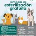 Continúa Ayuntamiento de Hermosillo con esterilizaciones gratuitas de perros y gatos