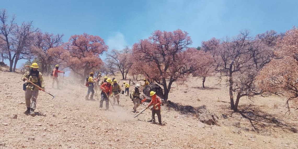 Gobierno de Sonora combate incendio forestal en Arizpe