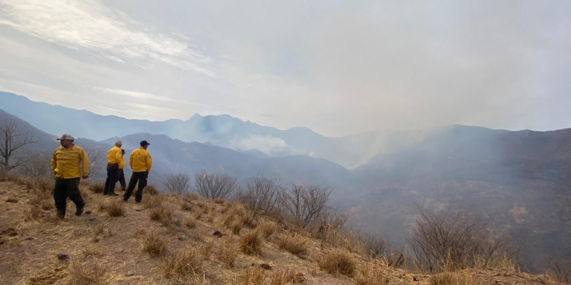 Gobierno de Sonora reforzará el combate al incendio forestal en Bavispe